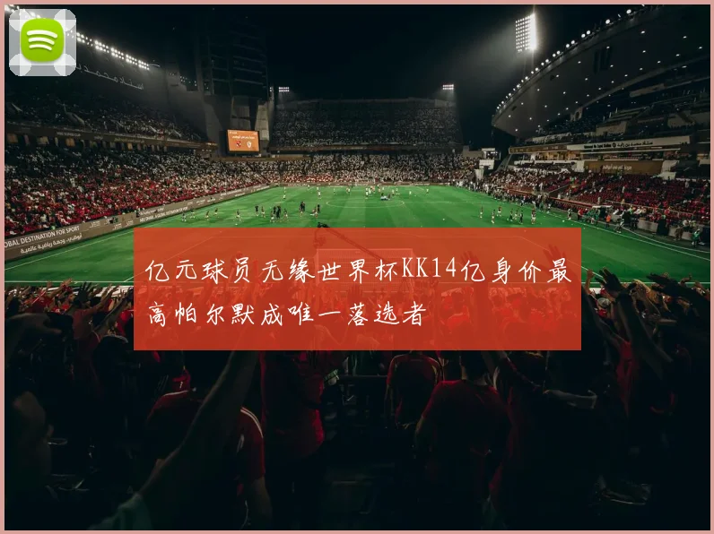 亿元球员无缘世界杯KK14亿身价最高帕尔默成唯一落选者