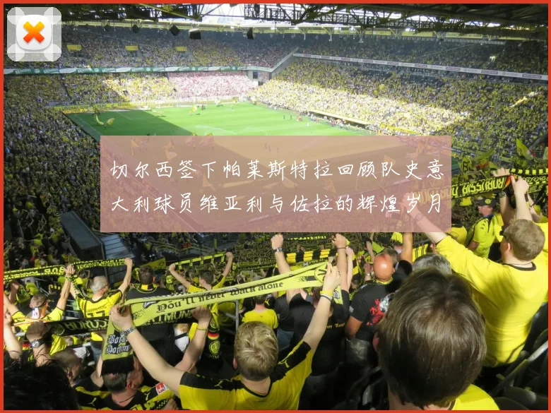 切尔西签下帕莱斯特拉回顾队史意大利球员维亚利与佐拉的辉煌岁月
